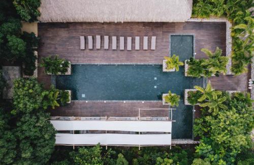 Palomino Hotel | Experience Naio Hotel y Villas: Oceanfront Bliss Awaits