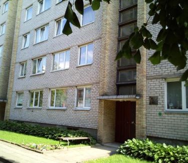 Anyksciai Apartment | Comfortable Stay in Anykščių Centre - Pet & Child Friendly