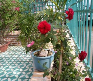 Đong Hoa Hiep House | Pet-Friendly Nam Thi Holiday Home with Great Amenities