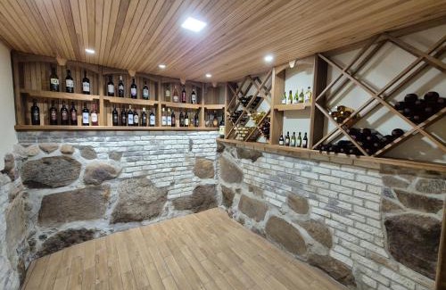 Zarasai Apartment | Discover Namas Zarasuose with Wine Cellar & Family-Friendly Stays
