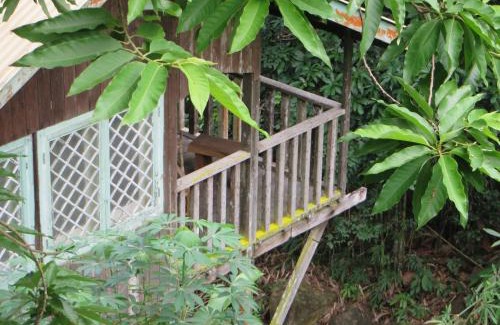 Santubong House | Discover Nanga Damai Homestay: Pool & Breakfast Included