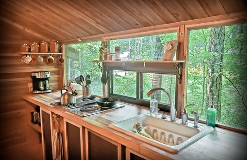 Packwood Cabin | Cozy Nanook's Retreat: Pet & Kid Friendly Cabin with WIFI