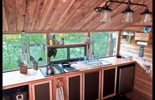 Packwood Cabin | Cozy Nanook's Retreat: Pet & Kid Friendly Cabin with WIFI