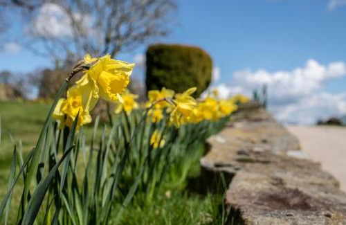 Acrefair House | Pet-Friendly Retreat at Nant Ucha Farm - Rated 9.4/10!