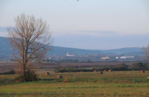 Kovagoors Apartment | Family-Friendly Apartments in Kővágóörs, Hungary