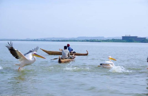 Bahir Dar Hotel | Inviting Narga Hotel in Bahir Dar: Pet Friendly & Cozy Stay