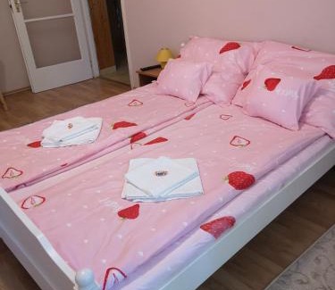 Oroshaza Apartment | Natasa Apartman: Guest Rated 9.7, Pet & Child Friendly Stay