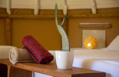 Barichara Hotel | Experience Nativo Glamping: Pool, Spa & High Guest Ratings