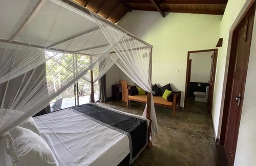 Hikkaduwa Hotel | Experience Natura B&B: Top-Rated, Pet-Friendly Retreat