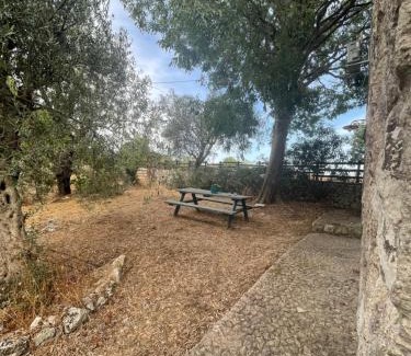 Testa dell'Acqua House | Discover Natura Escape: Family & Pet-Friendly Retreat