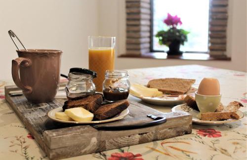 Pieve Salutare Bed & Breakfast | Discover Naturaliterre BnB - Microfattoria, Pet-Friendly Stay