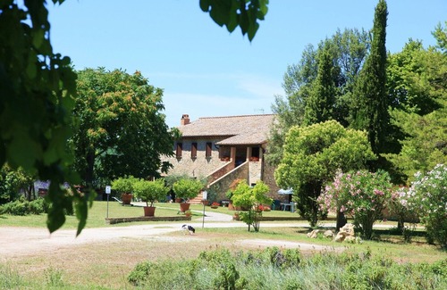 Amelia Apartment | Relax in Nature at Agriturismo Podere Luchiano with Pool