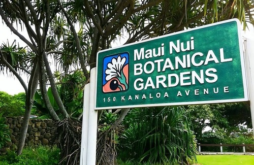 Kahului House | Nature Escape: 4 Units with Pool Near Iao Valley Park