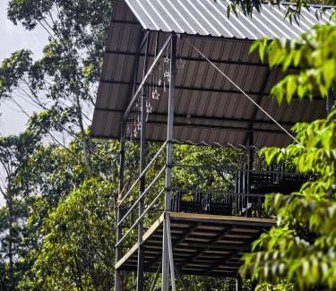 Suryanelli Other | Nature Hevean Holidays
