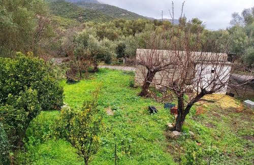 Milia Apartment | Nature House Vlatos