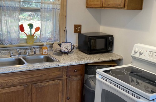 Interlachen Cottage | Nature Lover's Cottage: Ocala Forest Escape Near Rodman Dam