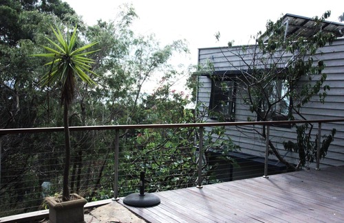 Kennett River House | Unwind at Nature's Edge: Pet Friendly with Ocean Views