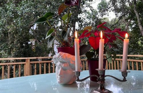 Nature's Valley House | Serene Nature's Valley Health Retreat: Forest Hideaway