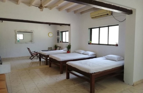 Manori Other | Serene Nature Retreat Amidst Lush Palm Trees