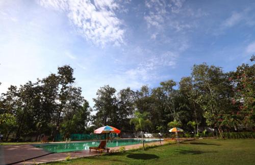 Sajan Resort | Cozy Nature Trails Sajan: Pet Friendly with Pool & Restaurant