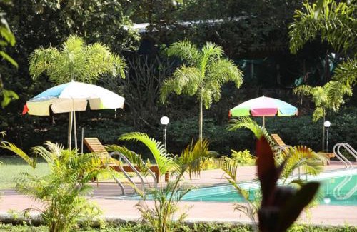 Sajan Resort | Cozy Nature Trails Sajan: Pet Friendly with Pool & Restaurant
