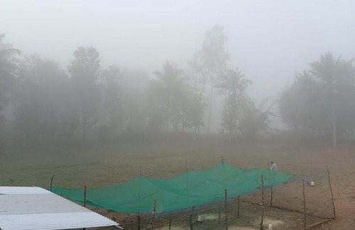 Piriyapatna House | Tranquil Nature View Cottage with Pool & Pet-Friendly Stay