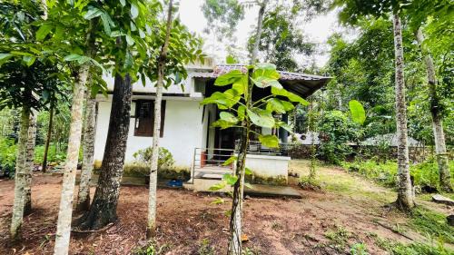 Kuzhithurai Other | Natures Lap