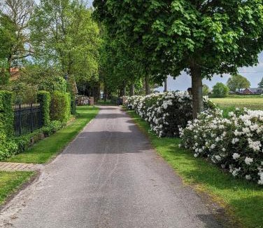 Wielen House | Experience Nature's Rest Wielen: 9.8 Rated & Family Friendly