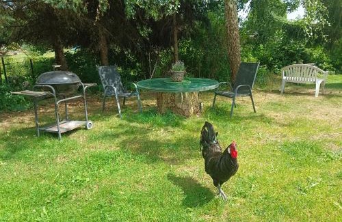 Friedrichsruhe Apartment | Family-Friendly Naturnahe Ferienwohnung with Great Ratings