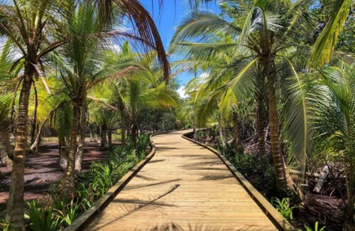 Tierra Oscura Hotel | Experience NAYARA Bocas del Toro - All Inclusive Paradise