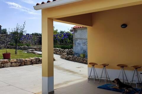 Alcobaca House | Experience Nazaré WSL 2023: Oceanfront Stay with Pool