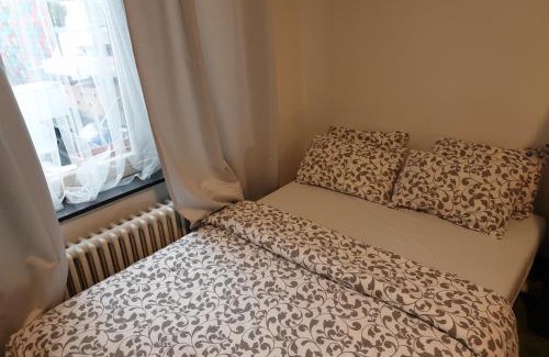Collignon Apartment | Convenient Apartment Near European District for Families