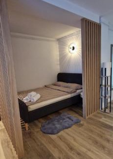 Sinnicoara Apartment | Convenient Airport Stay with Family and Pet Amenities