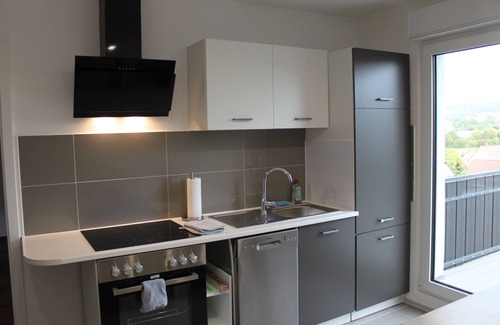 Hohenstein Apartment | Ideal Wiesbaden Getaway: Kitchen, Wifi & Parking Included