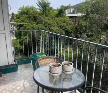 Vera Apartment | Inviting Chavchavadze Ave Home with Balcony for Families