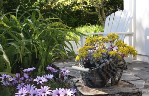 St. Mawes Bed & Breakfast | Family-Friendly Nearwater: 4-Star Stay with Kitchen Access