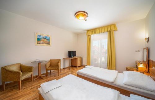 Zsorifurdo Hotel | Pet-Friendly Nefelejcs Hotel with Spa & Kitchen Amenities
