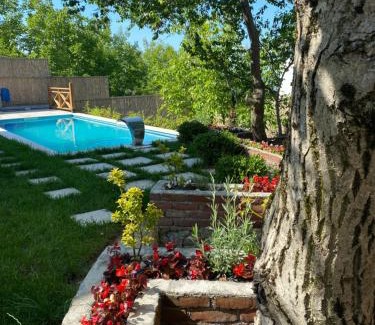 Sapanca Villa | Experience Nefes Vılla Sapanca with Oceanfront Amenities