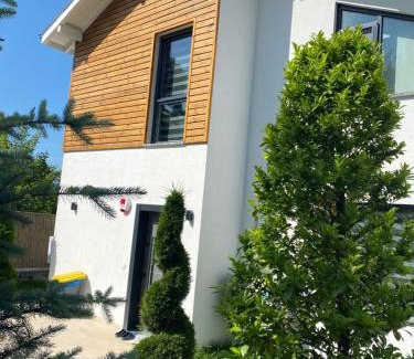 Sapanca Villa | Experience Nefes Vılla Sapanca with Oceanfront Amenities