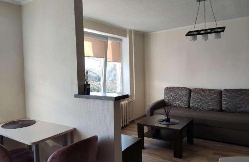 Panevezys Apartment | Cozy Nemunas: Pet-Friendly Getaway with 9/10 Guest Rating
