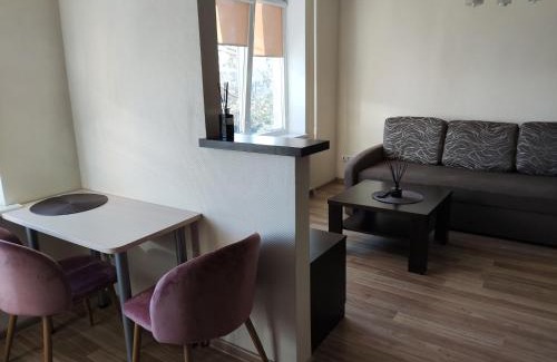 Panevezys Apartment | Cozy Nemunas: Pet-Friendly Getaway with 9/10 Guest Rating