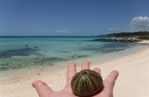 Rainbow Bay Apartment | Discover Neptune Cove: Family-Friendly Getaway with Pool