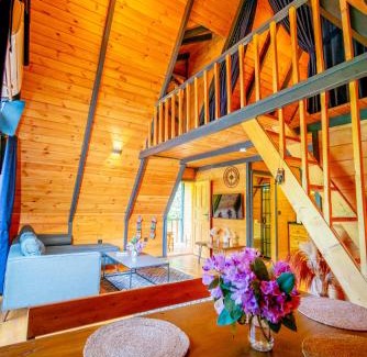 Cayeli Villa | Pet-Friendly Nesli Villa & Bungalow: A Family Escape