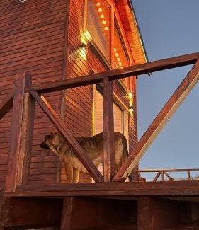 Kabaduz Ski Chalet | Comfortable Nest Çambaşı Bungalow with Hot Tub & Pet Access
