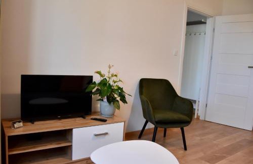 Konin Apartment | Pet-Friendly Stay at Nest Centrum Konin - Rated 9.5/10