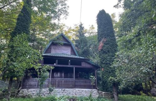 Sotrile House | Nature Retreat: Pet & Child Friendly with 9.8 Guest Rating