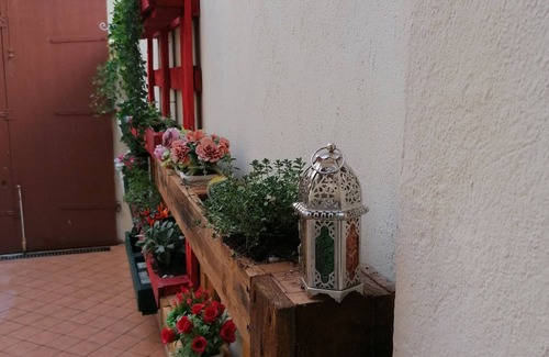 San Damiano dʼAsti Apartment | Cozy Nest of Love: Family and Pet-Friendly Retreat