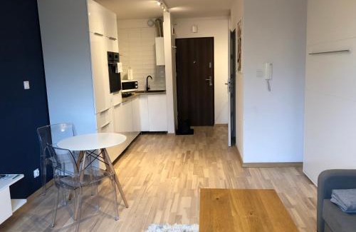 Ciechocinek Apartment | Guest Rated Nest Studio Ciechocinek: Pet & Child Friendly!