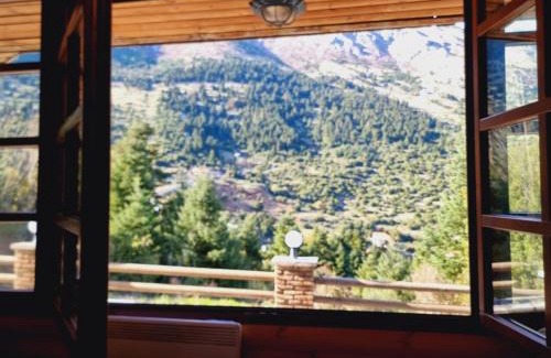 Eptalofos Apartment | Experience ''Nest'' The Wooden Suite: Pet-Friendly Retreat