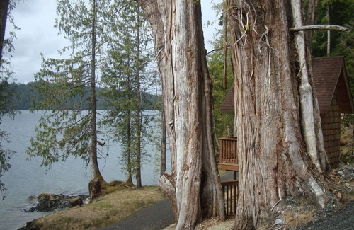 Ketchikan House | Top-Rated Stay at Two Famous Totem Pole Parks Awaits